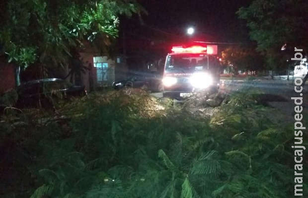 Chuva soma 17 ocorrências entre quedas de árvores, fiação e muros em Campo Grande Chuva soma 17 ocorrências entre quedas de árvores, fiação e muros em Campo Grande