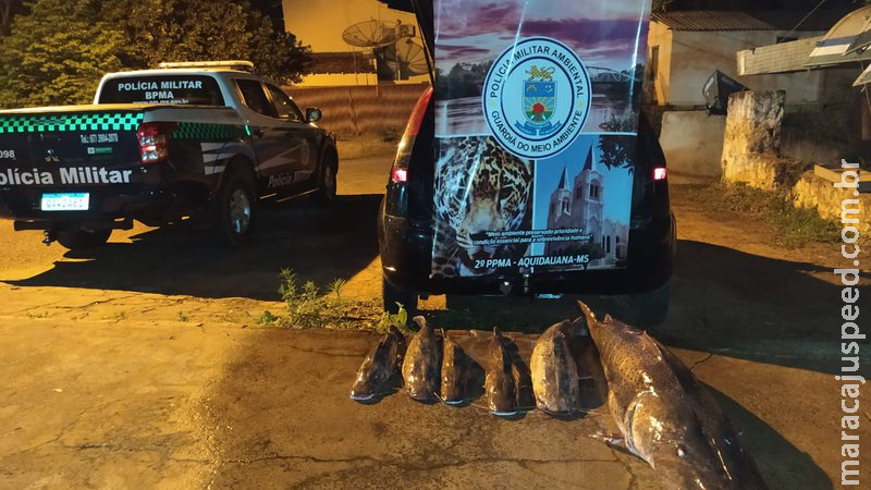 Comerciante é preso com pescado fora do tamanho permitido e apreende 41 kg de peixes Comerciante é preso com pescado fora do tamanho permitido e apreende 41 kg de peixes