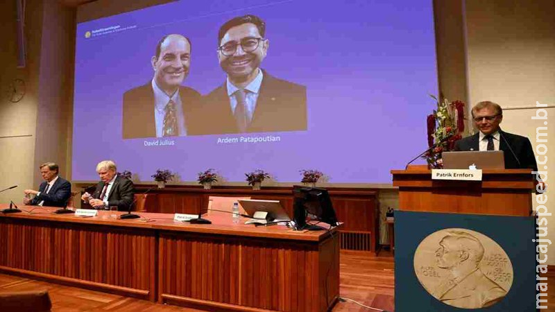 David Julius e Ardem Patapoutian vencem o Nobel de Medicina