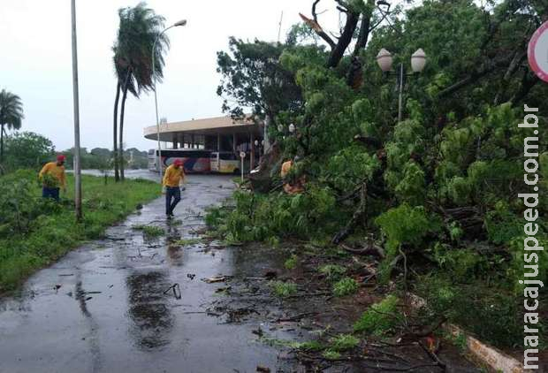 Dourados decreta situação de emergência após estragos de temporal Dourados decreta situação de emergência após estragos de temporal
