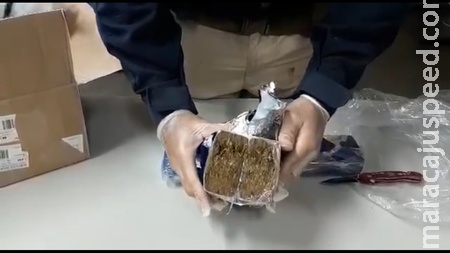 Em operação conjunta, PRF, Correios e Receita Federal apreendem encomendas com maconha em Campo Grande