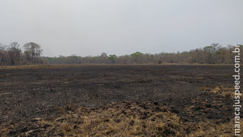 Empreiteiro é multado em R$ 15 mil por incendiar área de vegetação de fazenda no Pantanal Empreiteiro é multado em R$ 15 mil por incendiar área de vegetação de fazenda no Pantanal
