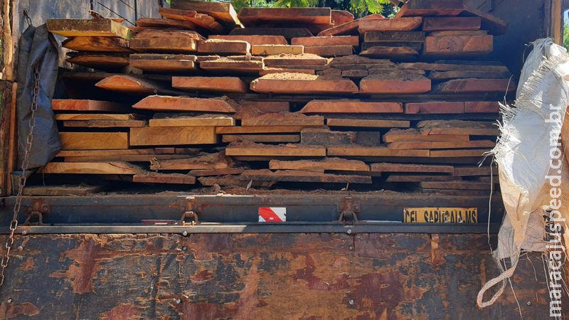 Empresa é multada em R$ 5,7 mil por transporte de madeira ilegal
