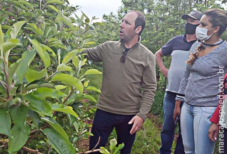 Funtrab abre 655 vagas para indígenas trabalharem em lavouras de maçã Funtrab abre 655 vagas para indígenas trabalharem em lavouras de maçã