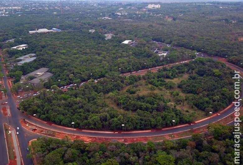 Governo decreta ponto facultativo dia 1° de novembro