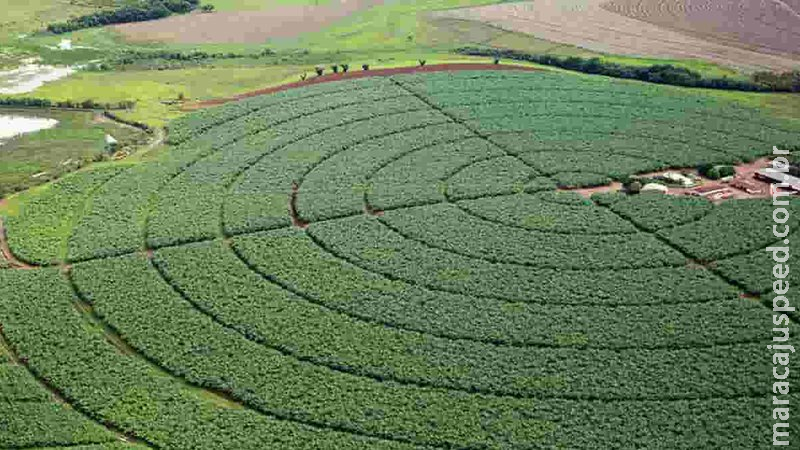 Governo publica novas regras para registro de defensivos agrícolas