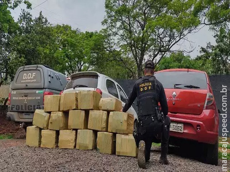 Homem abandona 479 kg de maconha, mas é preso ao correr para matagal na MS-164