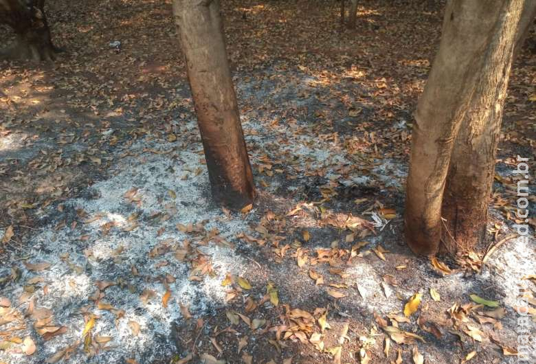 Homem coloca fogo em terreno e leva multa que ultrapassa R$ 4 mil Homem coloca fogo em terreno e leva multa que ultrapassa R$ 4 mil