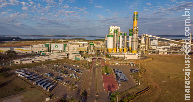 Indústria de celulose oferece 166 vagas de emprego para MS e SP