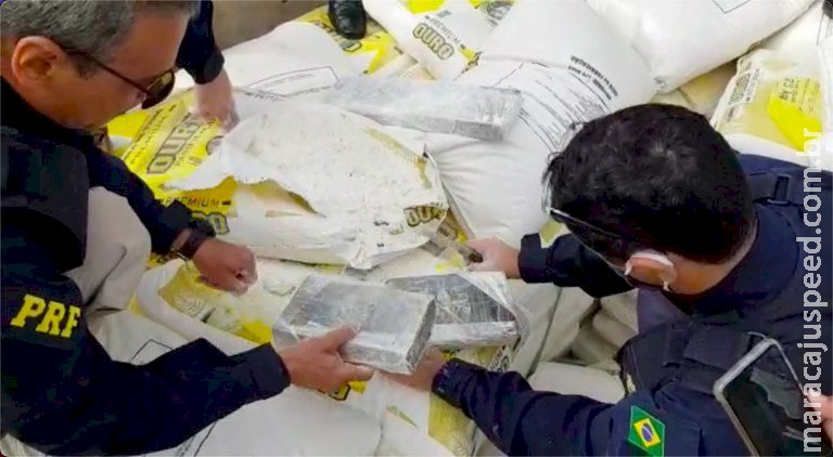 Motorista flagrado com meia tonelada de cocaína em MS é absolvido por ter Motorista flagrado com meia tonelada de cocaína em MS é absolvido por ter