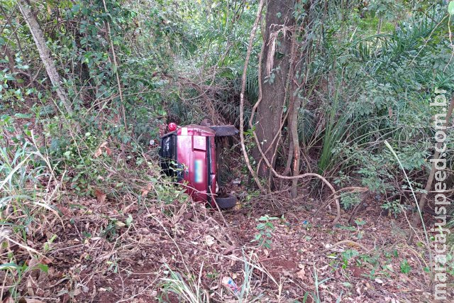 Motorista perde controle da direção, capota veículo e vai parar em mata Motorista perde controle da direção, capota veículo e vai parar em mata