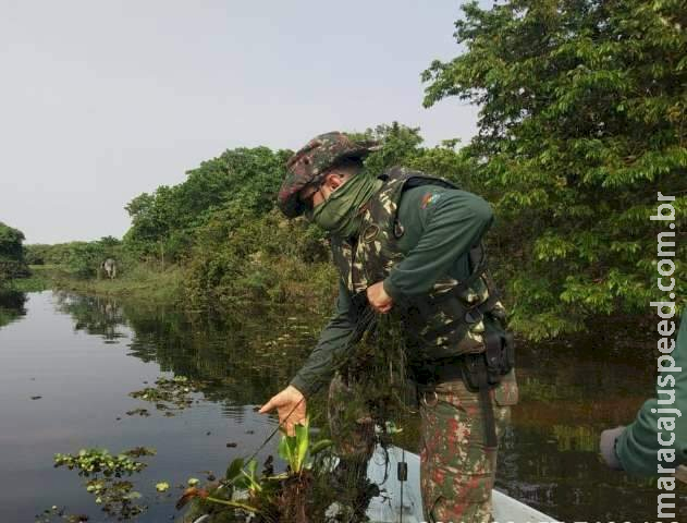 Operação fecha mês com R$ 61 mil em multas e 555 quilos de pescado apreendidos Operação fecha mês com R$ 61 mil em multas e 555 quilos de pescado apreendidos