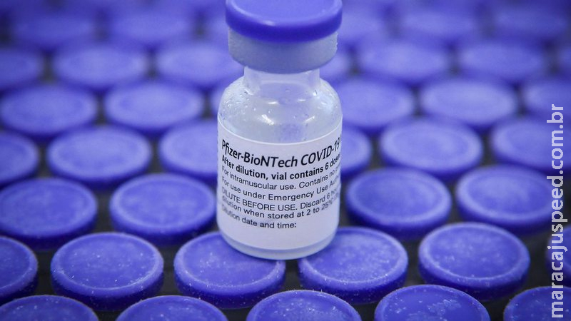 Pfizer vai pedir à Anvisa uso de vacina em crianças de 5 a 11 anos Pfizer vai pedir à Anvisa uso de vacina em crianças de 5 a 11 anos