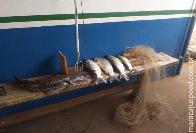 PMA flagra homem em pesca predatória no Rio Dourados PMA flagra homem em pesca predatória no Rio Dourados