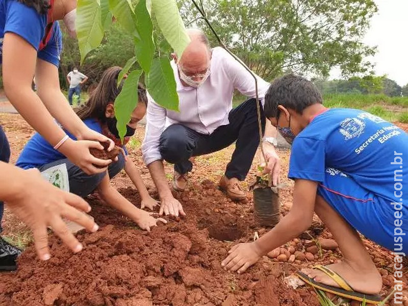 Ponta Porã: Prefeitura desenvolve projeto para conscientizar a população sobre a importância de manter a vegetação nativa