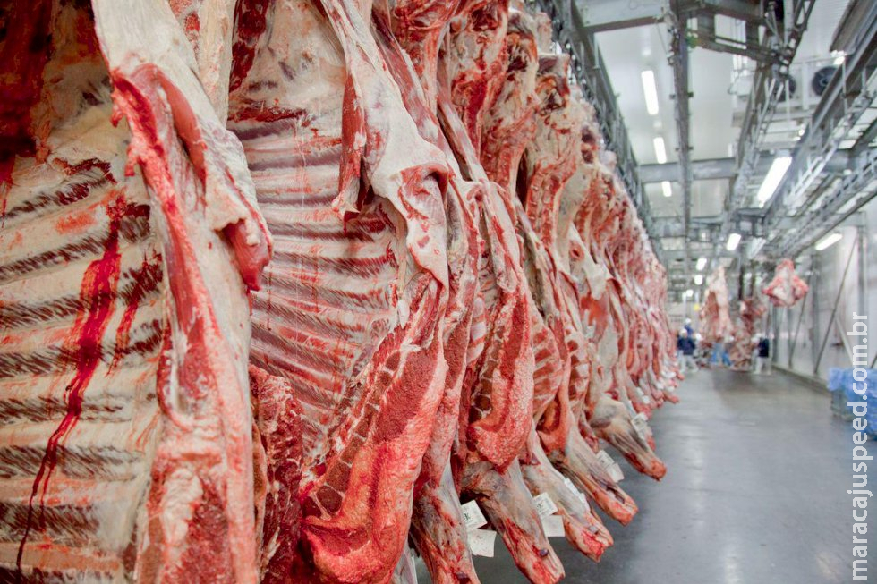 Preços da carne voltam a cair; confira os destaques desta quinta-feira Preços da carne voltam a cair; confira os destaques desta quinta-feira