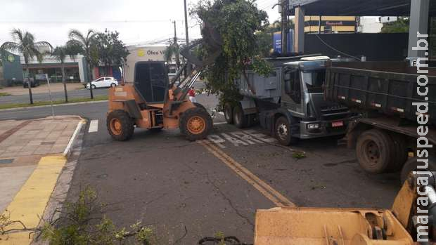 Prefeitura dá resposta rápida a danos mais urgentes da tempestade em Campo Grande