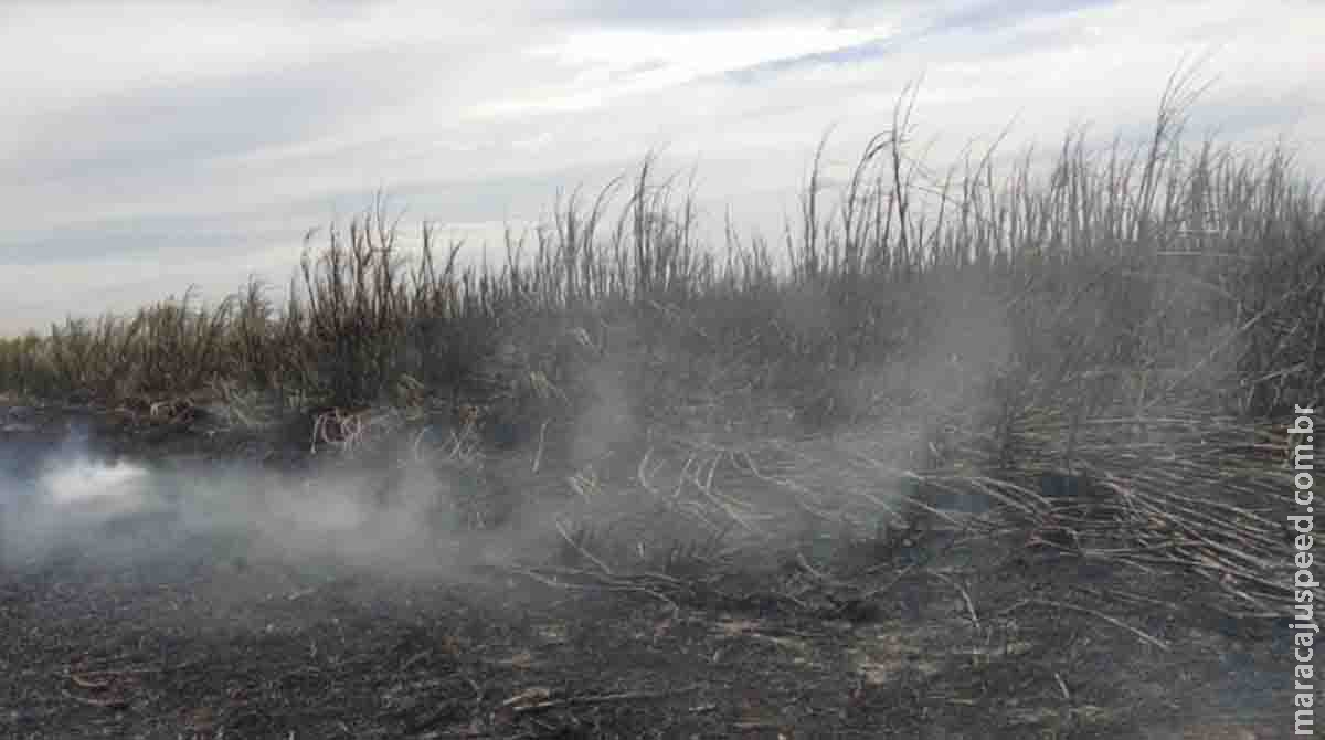 Prevenção a incêndios no Pantanal aplica R$ 33 milhões em multas a fazendeiros em MS Prevenção a incêndios no Pantanal aplica R$ 33 milhões em multas a fazendeiros em MS