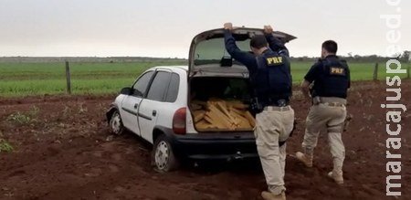 PRF apreende 520 Kg de maconha em Bataguassu