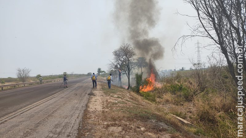 Proprietário rural é multado por incêndio para renovação de pastagem Proprietário rural é multado por incêndio para renovação de pastagem