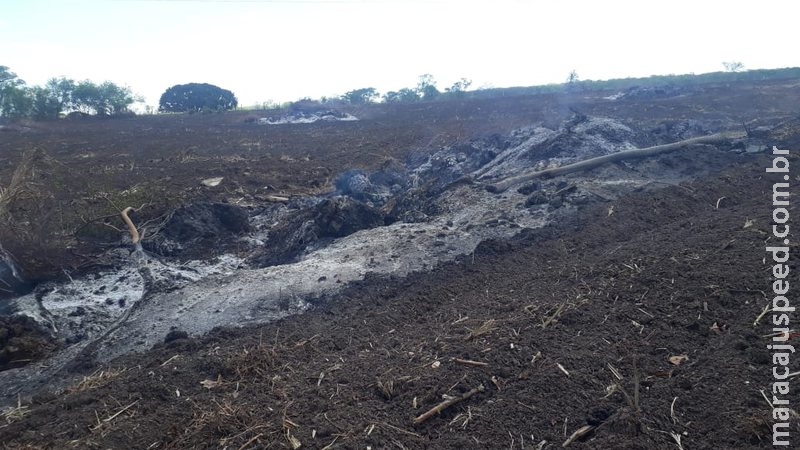 Proprietário rural é multado por queima controlada que está proibida Proprietário rural é multado por queima controlada que está proibida
