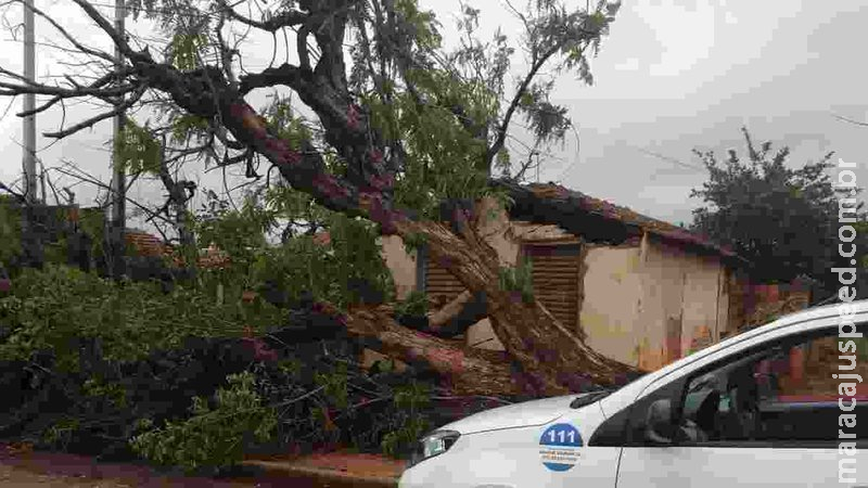 Tempestade com granizo derruba árvores, postes e deixa moradores sem energia há 48h em Três Lagoas
