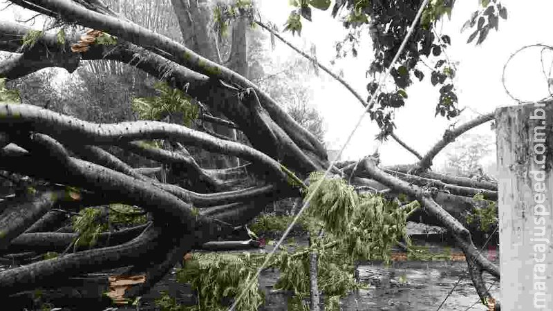 Temporal com mais de 400 mil raios deixa bairros de Campo Grande e interior sem energia