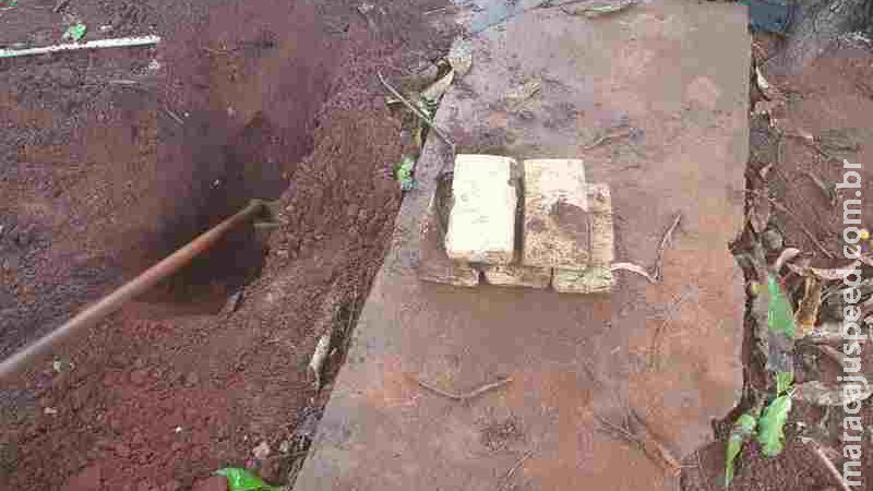 Traficante é flagrado com maconha enterrada no quintal de casa