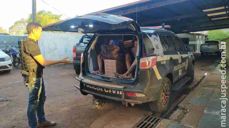 Trio é preso em Dourados com ‘pé’ de maconha e mais 70 quilos de drogas Trio é preso em Dourados com ‘pé’ de maconha e mais 70 quilos de drogas