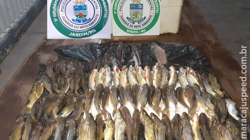 Turistas são flagrados fazendo pesca predatória em Bonito Turistas são flagrados fazendo pesca predatória em Bonito