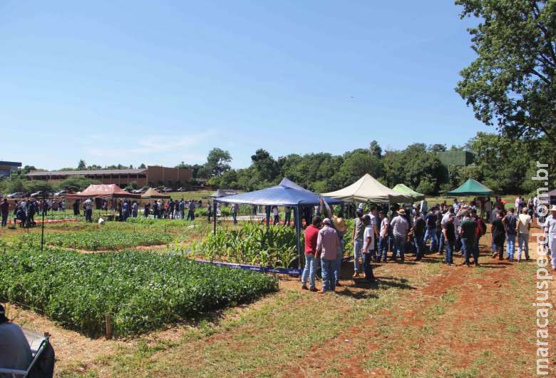 Acadêmicos apresentam experimentos durante Dia de Campo da Unigran