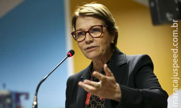 Alimentos vão encarecer ainda mais, dispara Tereza Cristina Alimentos vão encarecer ainda mais, dispara Tereza Cristina