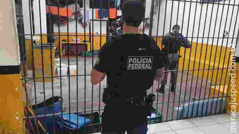 Após descobrir plano para executar agente, PF faz operação na fronteira de MS Após descobrir plano para executar agente, PF faz operação na fronteira de MS