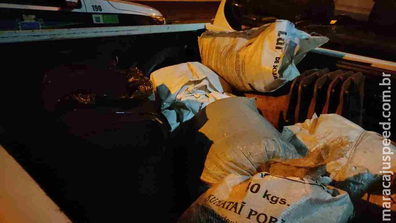 Após fuga e perseguição, dupla é presa em flagrante com maconha em MS Após fuga e perseguição, dupla é presa em flagrante com maconha em MS