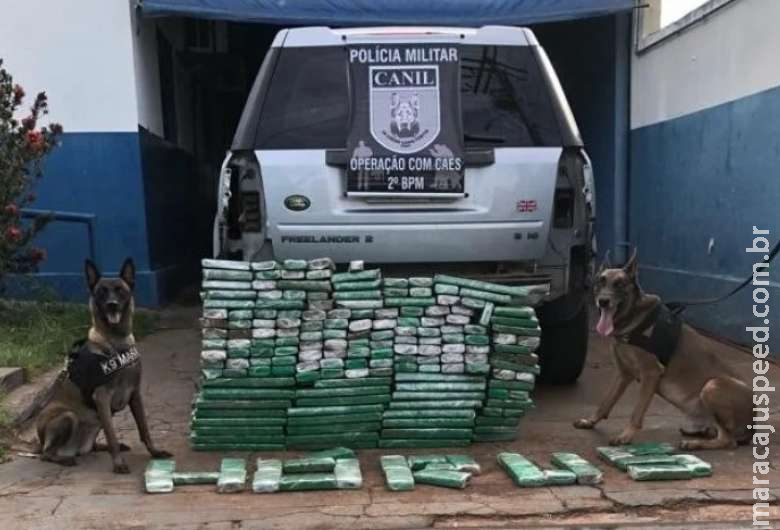 Após perseguição, polícia apreende mais de 150 kg de maconha Após perseguição, polícia apreende mais de 150 kg de maconha
