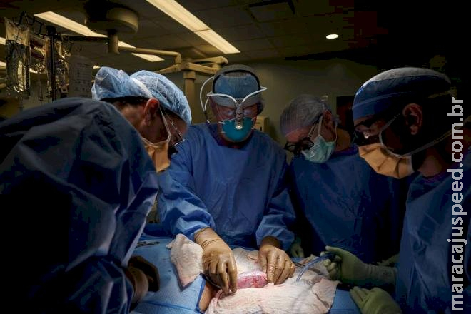 Aquecimento global causou mais de 200 mil casos de doença renal no Brasil em 15 anos, diz estudo Aquecimento global causou mais de 200 mil casos de doença renal no Brasil em 15 anos, diz estudo