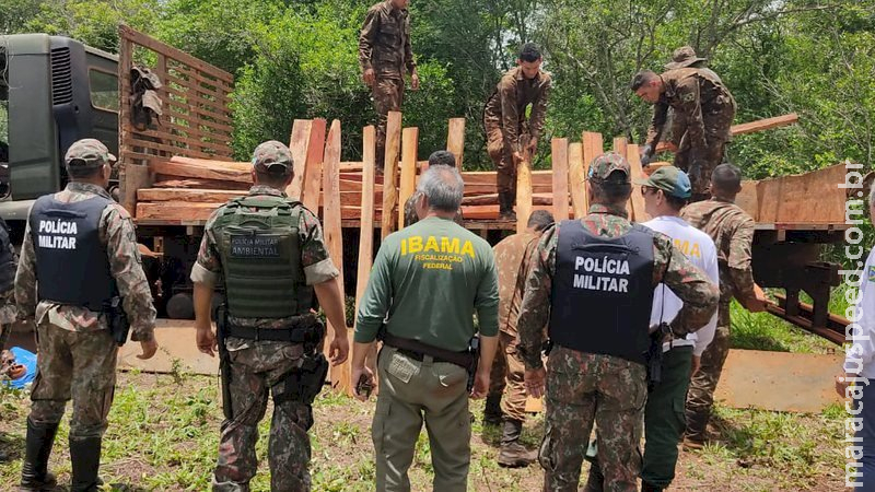 Autoridades aplicam multa de R$ 135 mil em operação contra desmatamento ilegal 