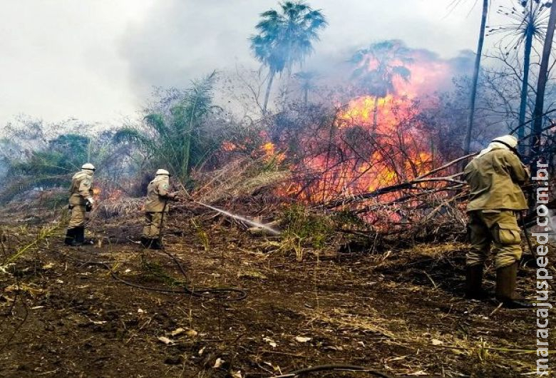 Bombeiros Militares encerram Operação Hefesto nesta terça-feira Bombeiros Militares encerram Operação Hefesto nesta terça-feira