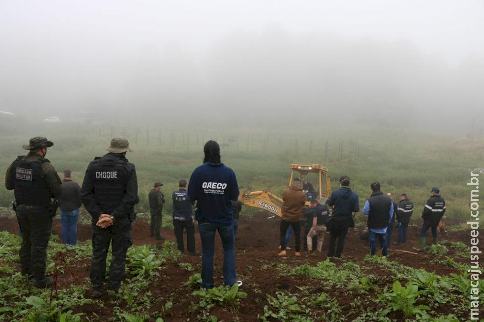 Carne de cavalo era vendida para hamburguerias de Caxias do Sul, diz MP