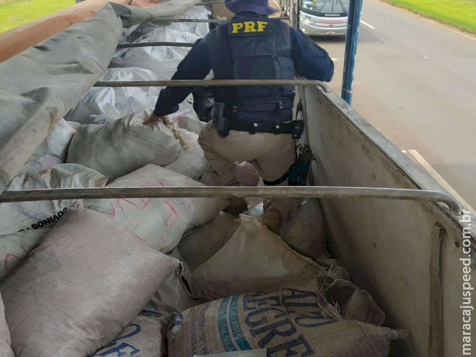 Carreta carregada com agrotóxico é apreendida na BR-163 e encaminhada para Dourados Carreta carregada com agrotóxico é apreendida na BR-163 e encaminhada para Dourados