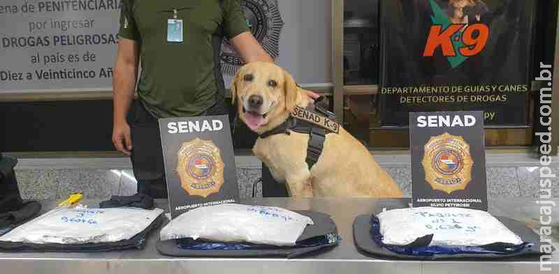 Com destino à Madri, paraguaia é presa com cocaína em aeroporto