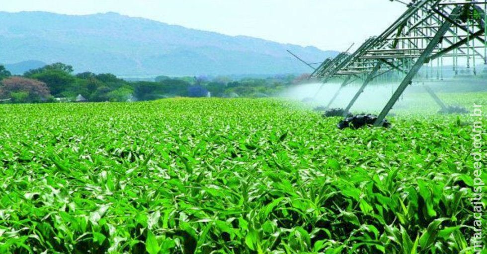 Conab: garantia de fornecimento de fertilizante pela Rússia traz segurança à safra Conab: garantia de fornecimento de fertilizante pela Rússia traz segurança à safra