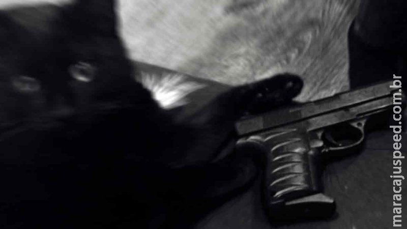 Crise na cúpula da Polícia Civil de MS pode se espalhar e caos atingir Sejusp, alertam Crise na cúpula da Polícia Civil de MS pode se espalhar e caos atingir Sejusp, alertam
