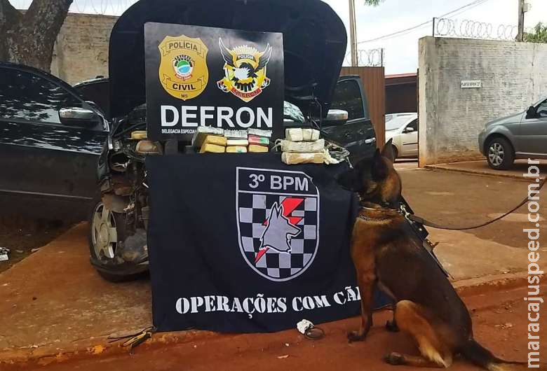 Droga apreendida no Jardim Água Boa é avaliada em R$ 550 mil Droga apreendida no Jardim Água Boa é avaliada em R$ 550 mil