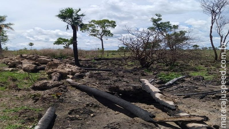Fazendeiro é multado em R$ 301 mil por desmatamento de Mata Atlântica em MS Fazendeiro é multado em R$ 301 mil por desmatamento de Mata Atlântica em MS