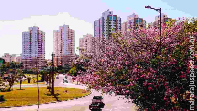 IBGE: MS ocupa 9ª posição do país no ranking de geração de renda familiar e qualidade de vida no país IBGE: MS ocupa 9ª posição do país no ranking de geração de renda familiar e qualidade de vida no país
