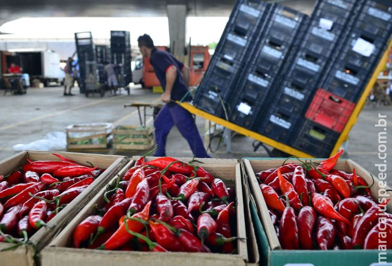 Mapa: 89% dos vegetais comercializados são seguros para consumo Mapa: 89% dos vegetais comercializados são seguros para consumo