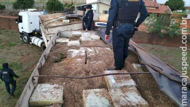 Motorista de carga recorde de maconha pega seis anos em regime semiaberto