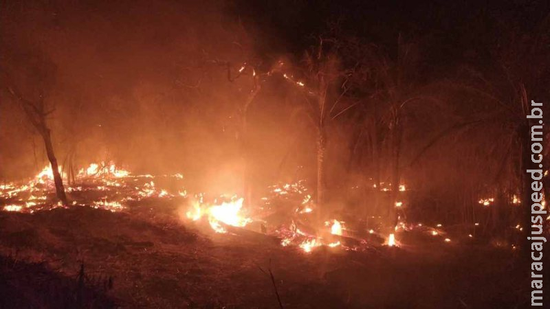 Multados em R$ 1,1 milhão, fazendeiros são investigados por incêndio florestal no Pantanal Multados em R$ 1,1 milhão, fazendeiros são investigados por incêndio florestal no Pantanal