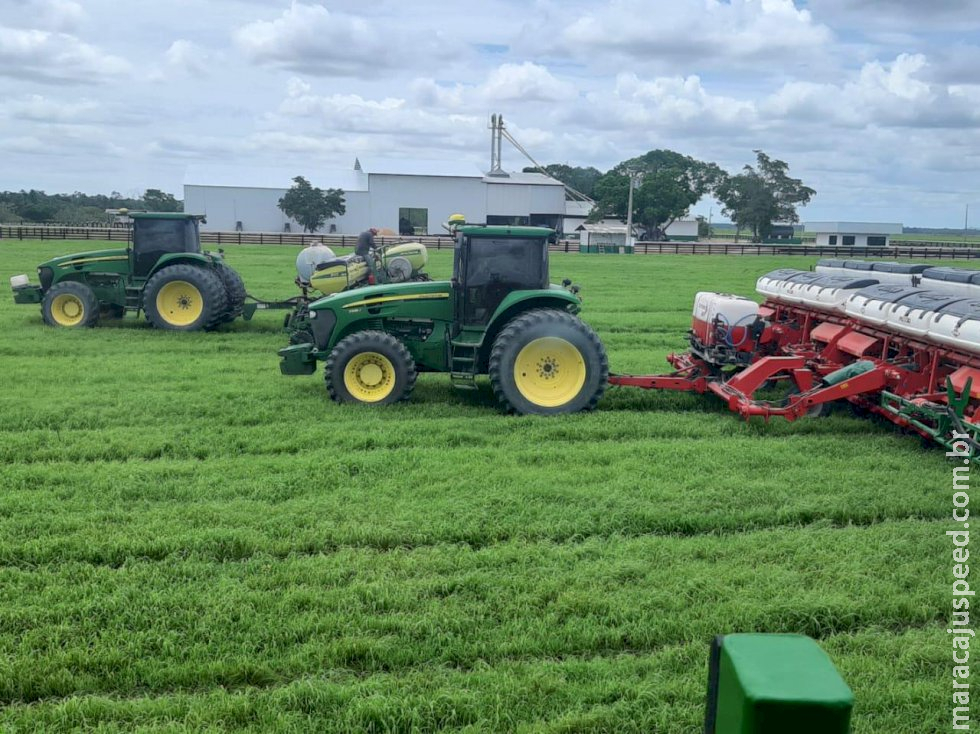 Plantio de soja no Brasil atinge 64,6%; confira a situação de cada estado Plantio de soja no Brasil atinge 64,6%; confira a situação de cada estado